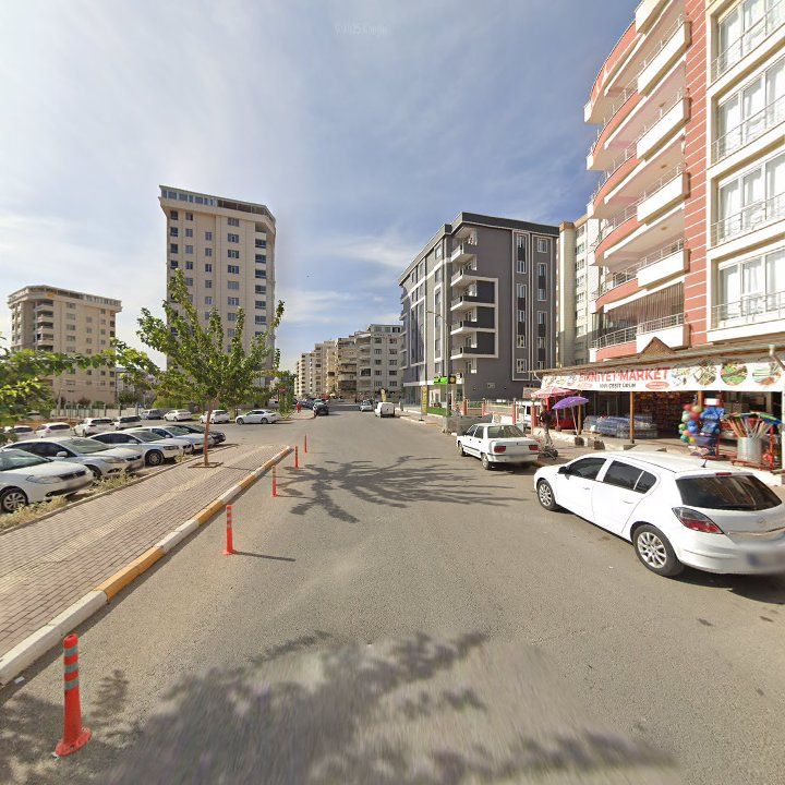 Fotoğraf 13