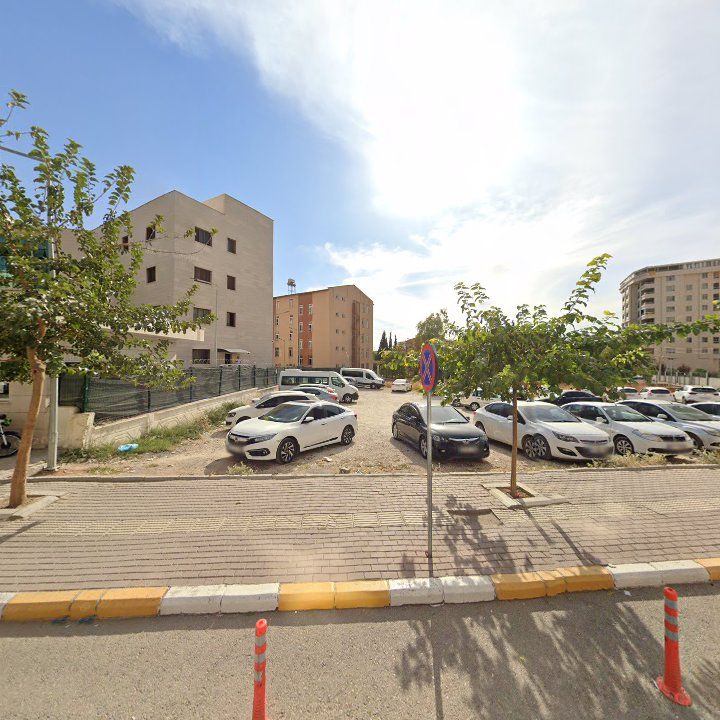 Fotoğraf 12