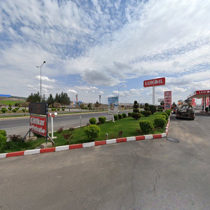 Fotoğraf 10