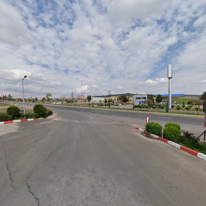 Fotoğraf 9
