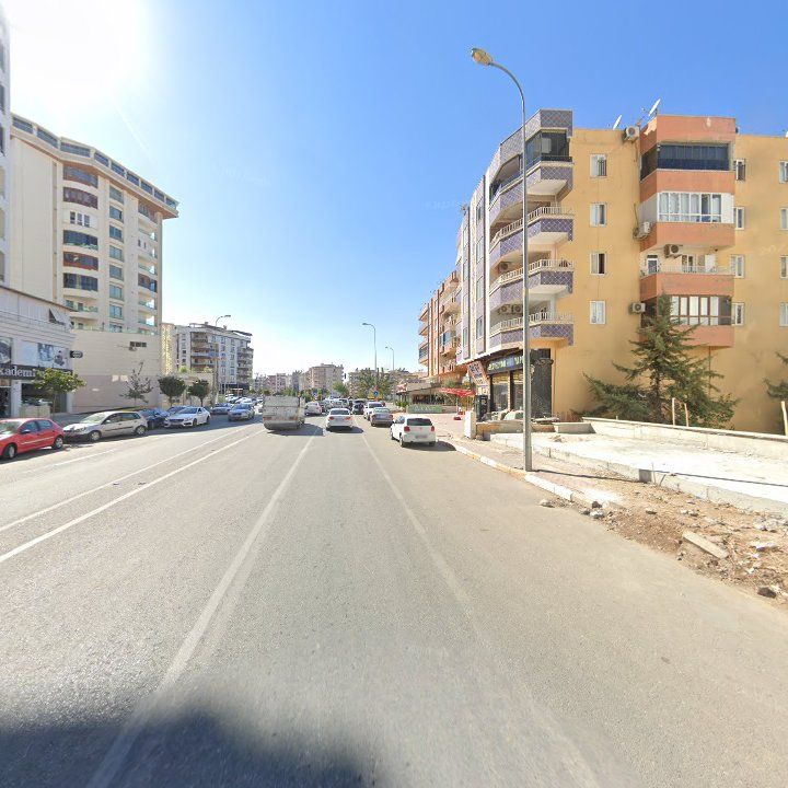 Fotoğraf 10