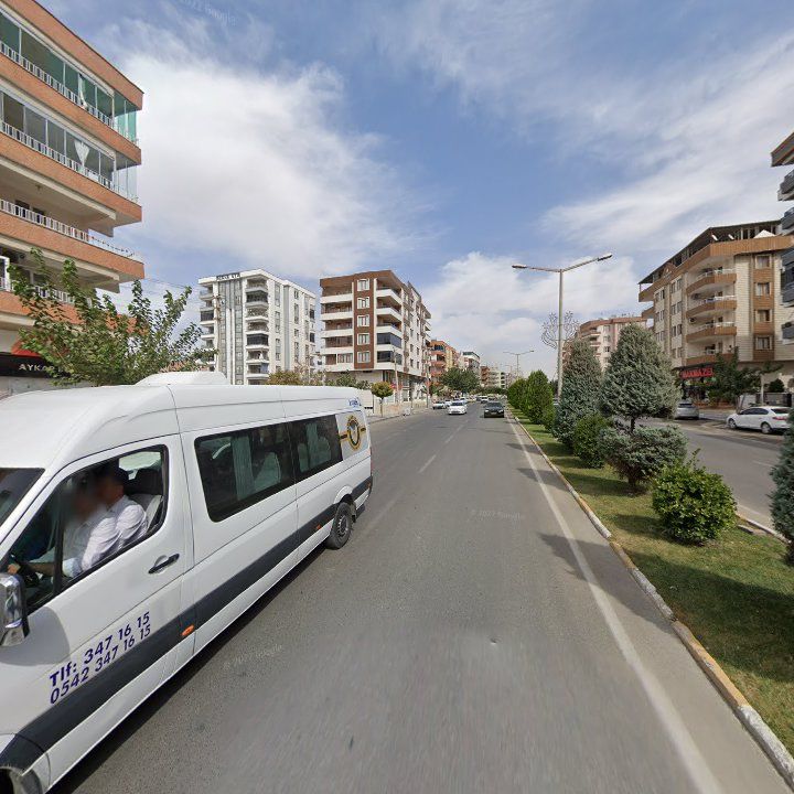 Fotoğraf 11
