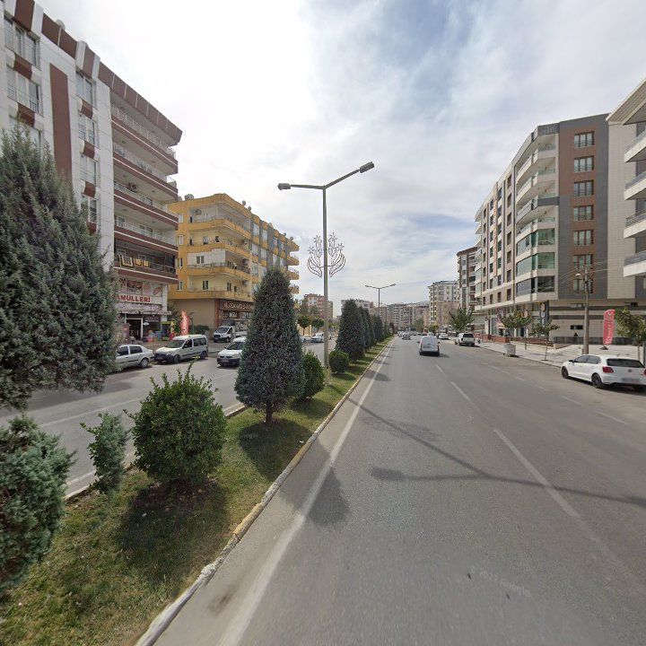 Fotoğraf 13