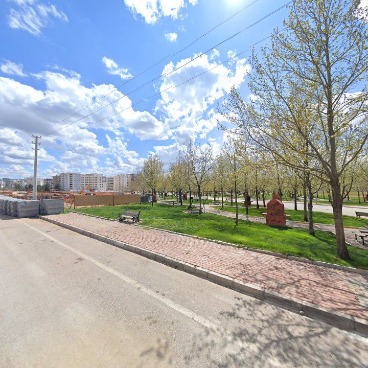 Fotoğraf 8