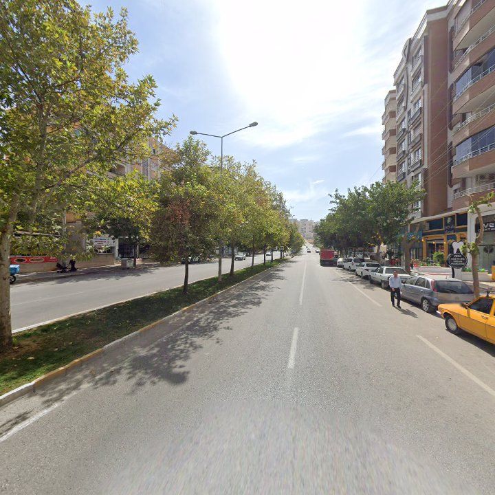Fotoğraf 8