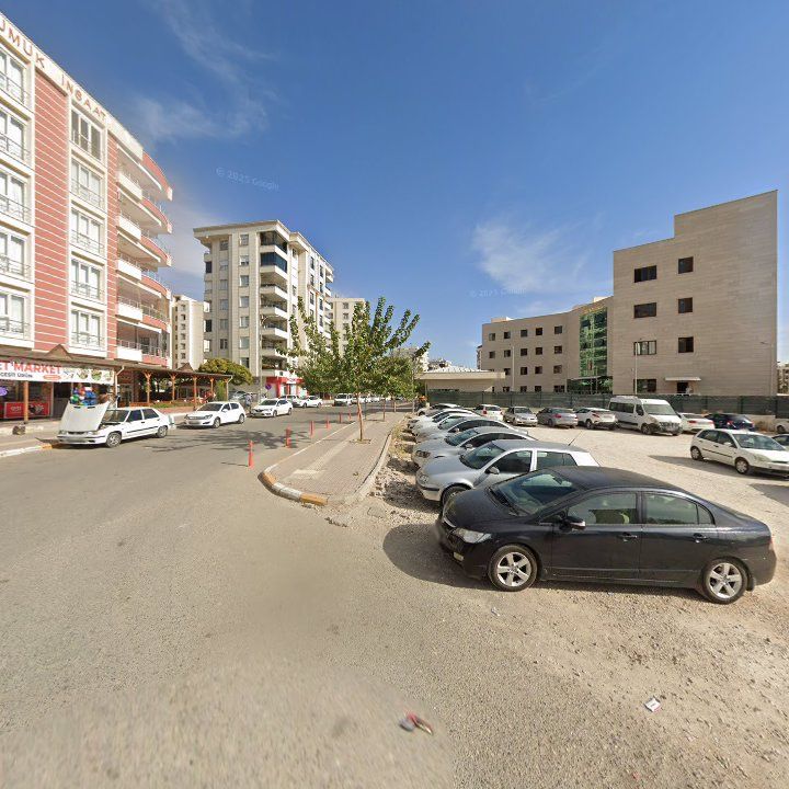Fotoğraf 8