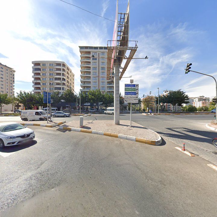 Fotoğraf 10