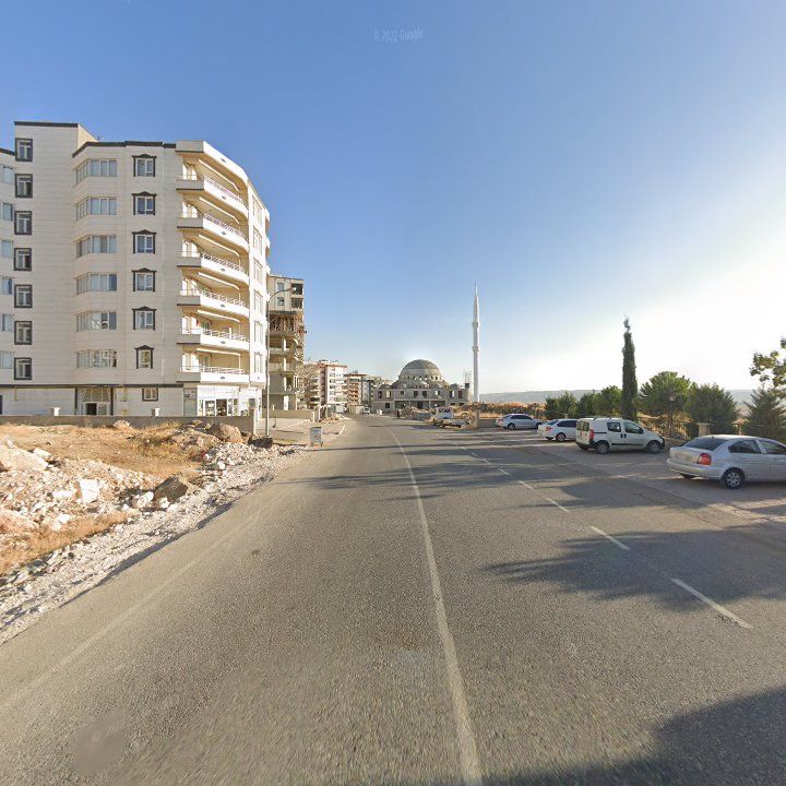 Fotoğraf 9