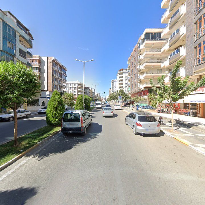 Fotoğraf 10