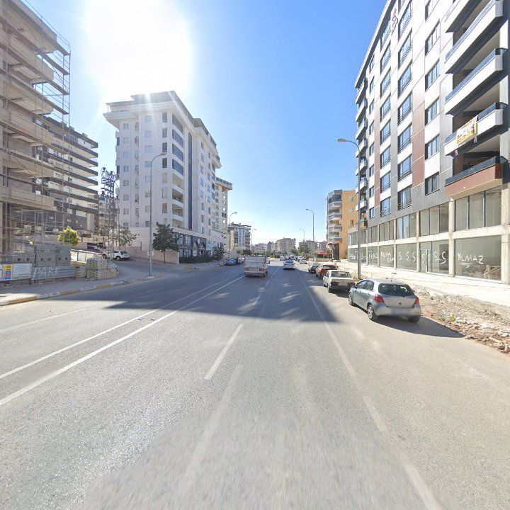 Fotoğraf 7