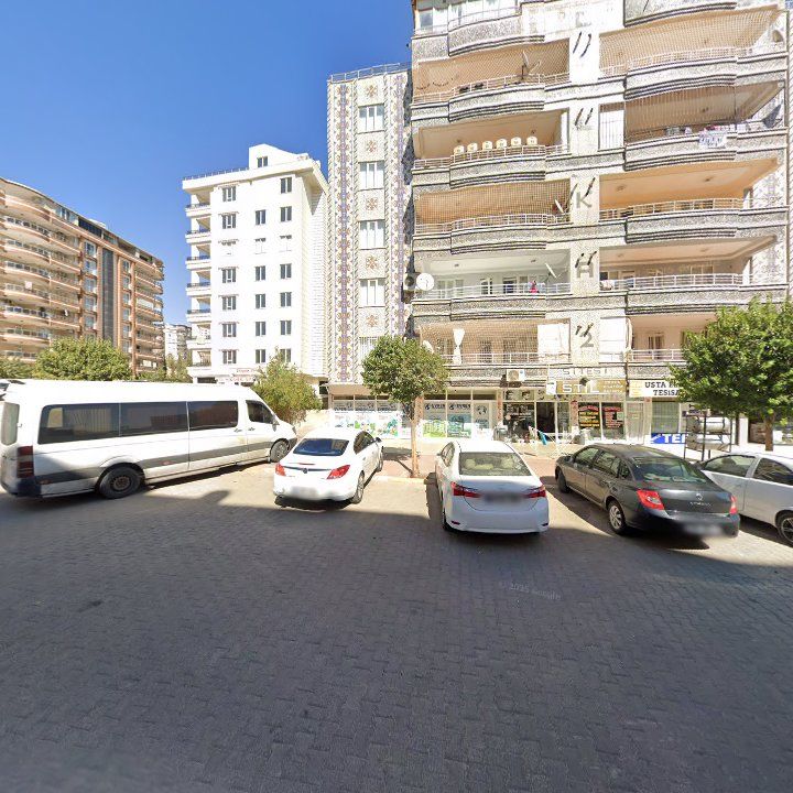 Fotoğraf 7