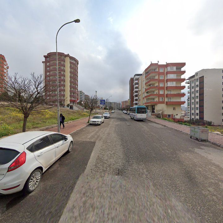 Fotoğraf 8