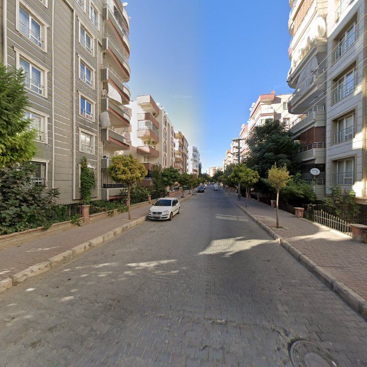 Fotoğraf 6