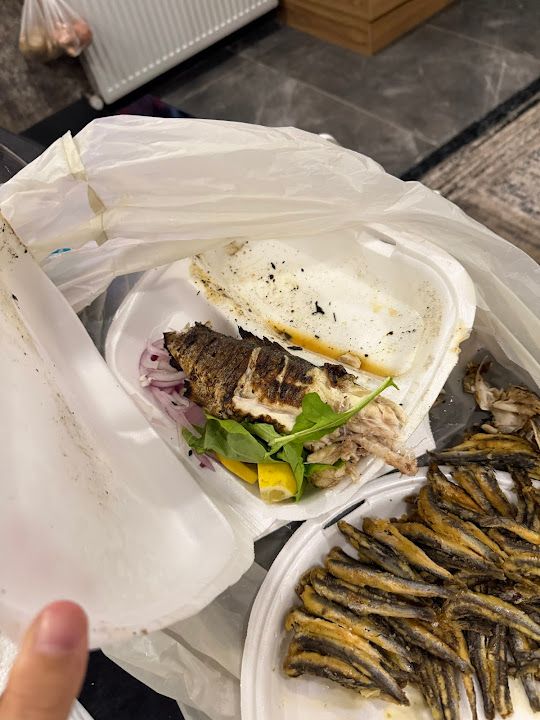 Hamsi Finger Karaköprü