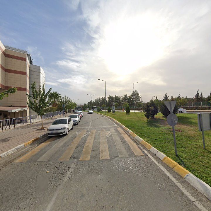 Fotoğraf 3