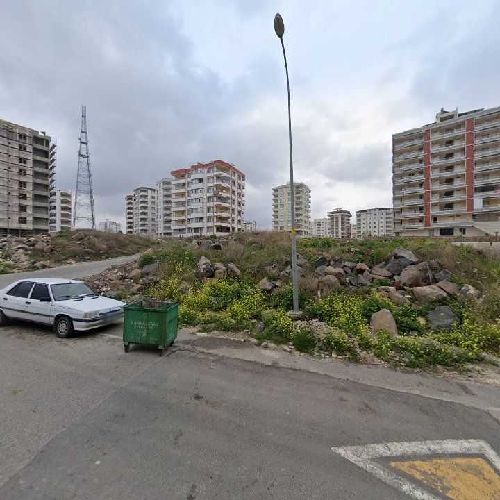 Fotoğraf 7