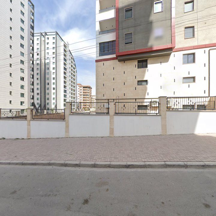 Fotoğraf 12