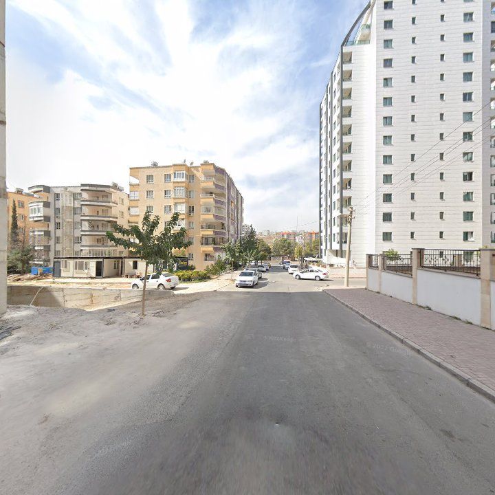 Fotoğraf 11