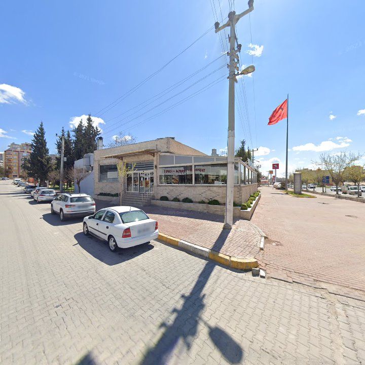 Fotoğraf 8