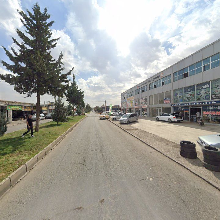 Fotoğraf 6