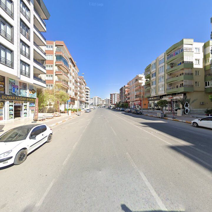 Fotoğraf 6