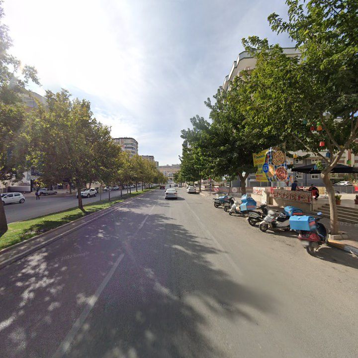 Fotoğraf 9