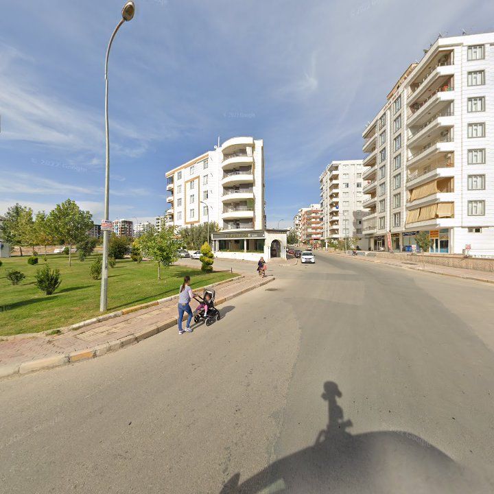 Fotoğraf 11