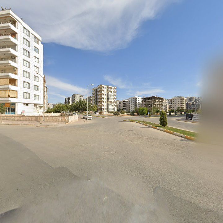Fotoğraf 12