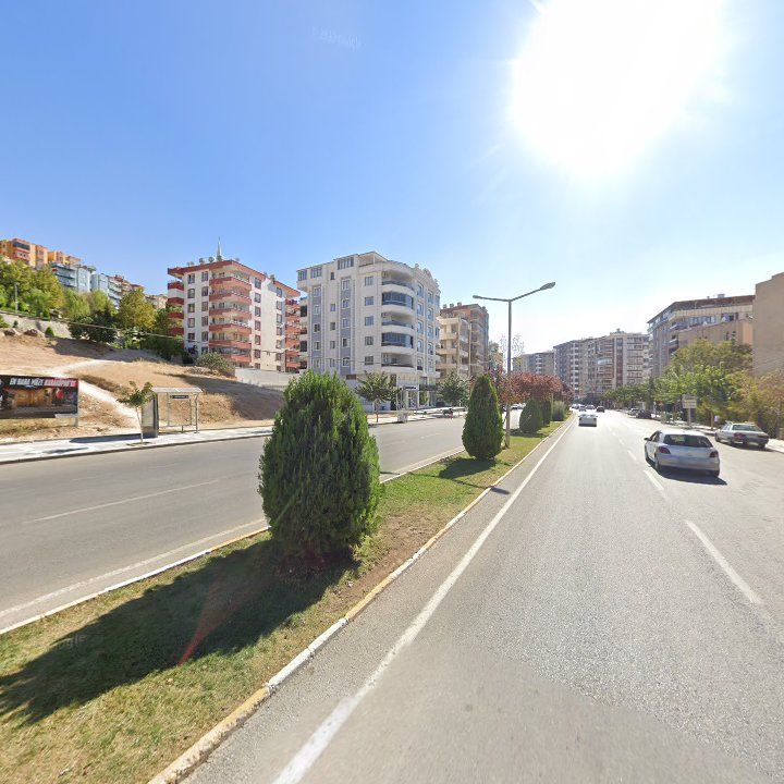 Fotoğraf 10