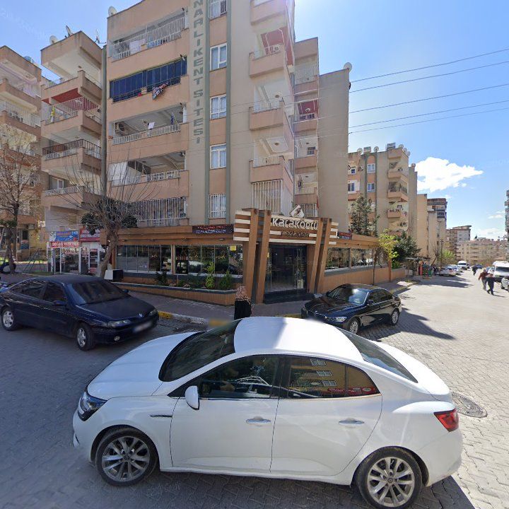 Fotoğraf 10