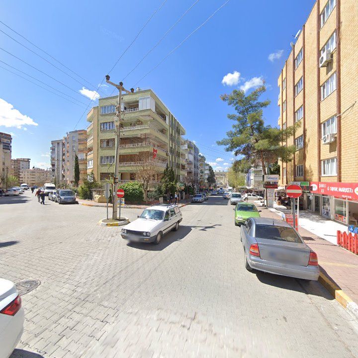 Fotoğraf 11