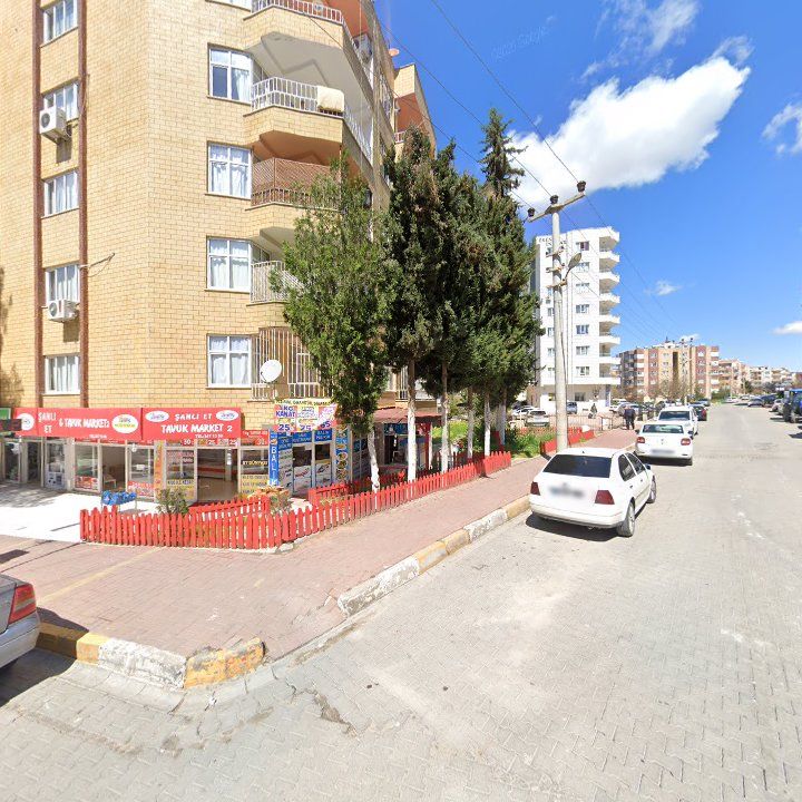 Fotoğraf 12