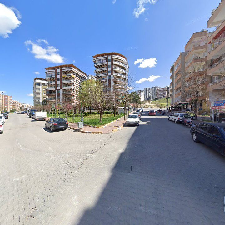 Fotoğraf 13