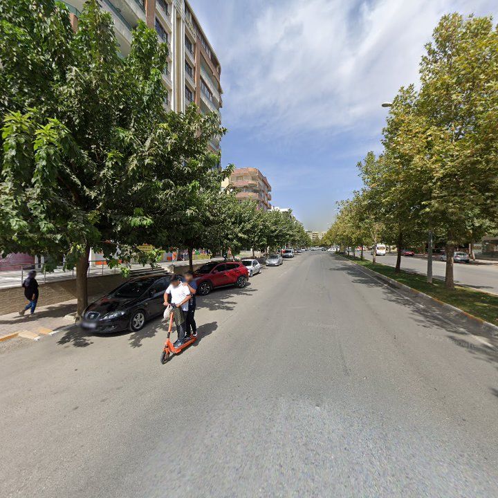 Fotoğraf 10