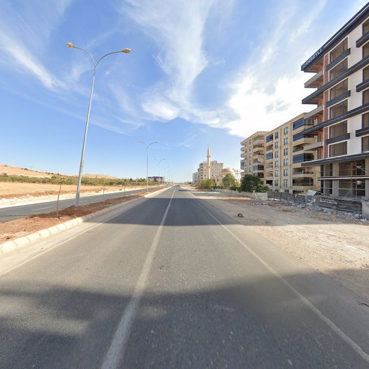 Fotoğraf 10