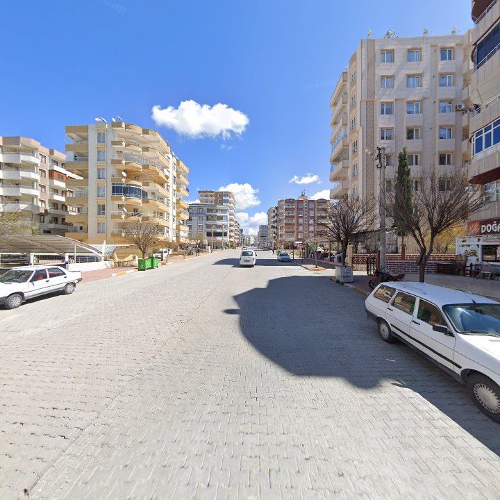 Fotoğraf 8