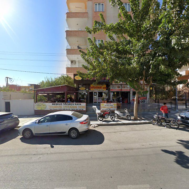 Fotoğraf 7
