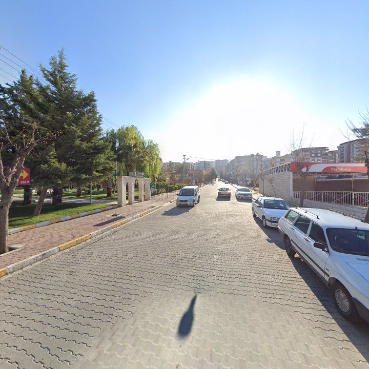 Fotoğraf 12
