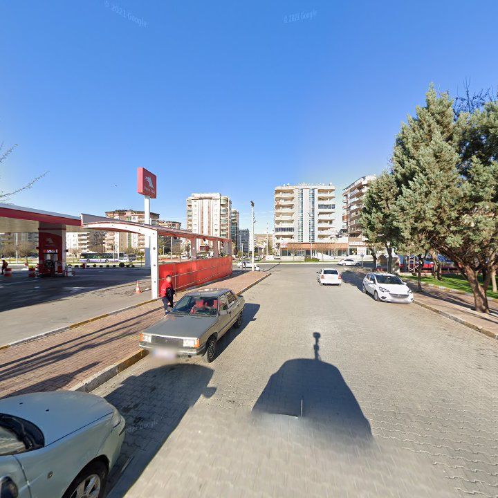 Fotoğraf 10