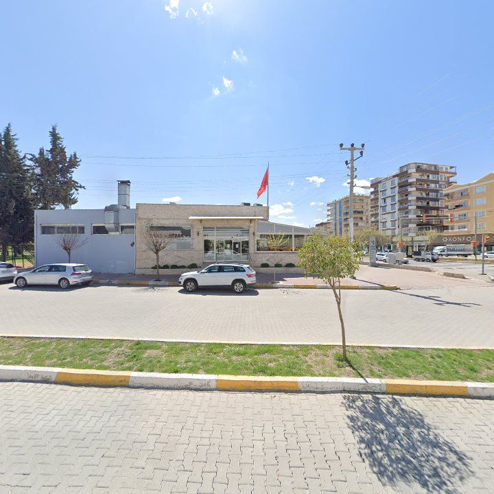 Fotoğraf 10