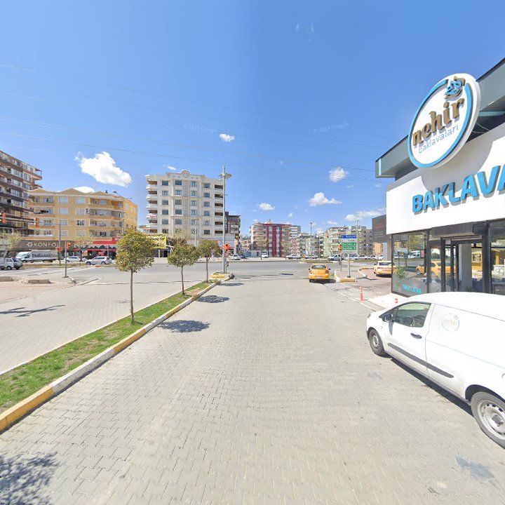 Fotoğraf 11
