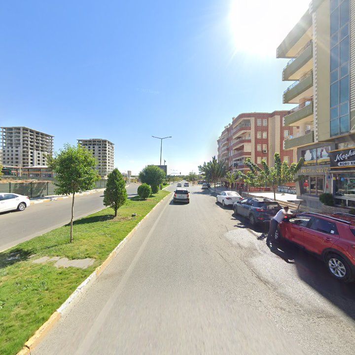 Fotoğraf 9