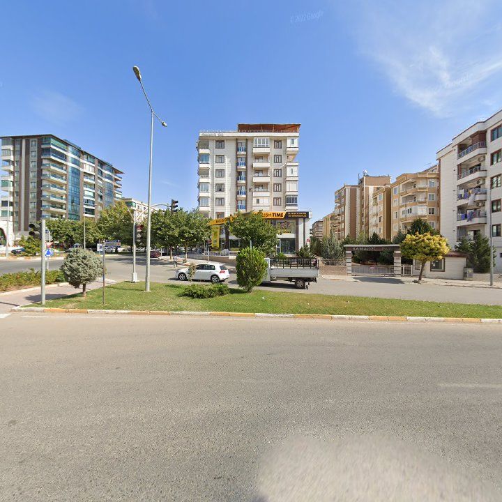 Fotoğraf 11
