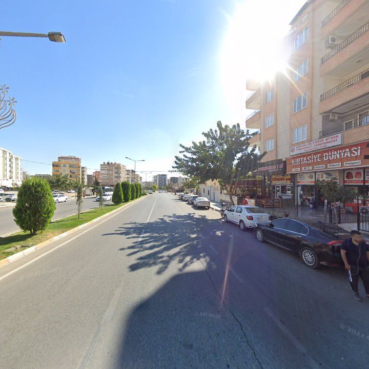 Fotoğraf 11