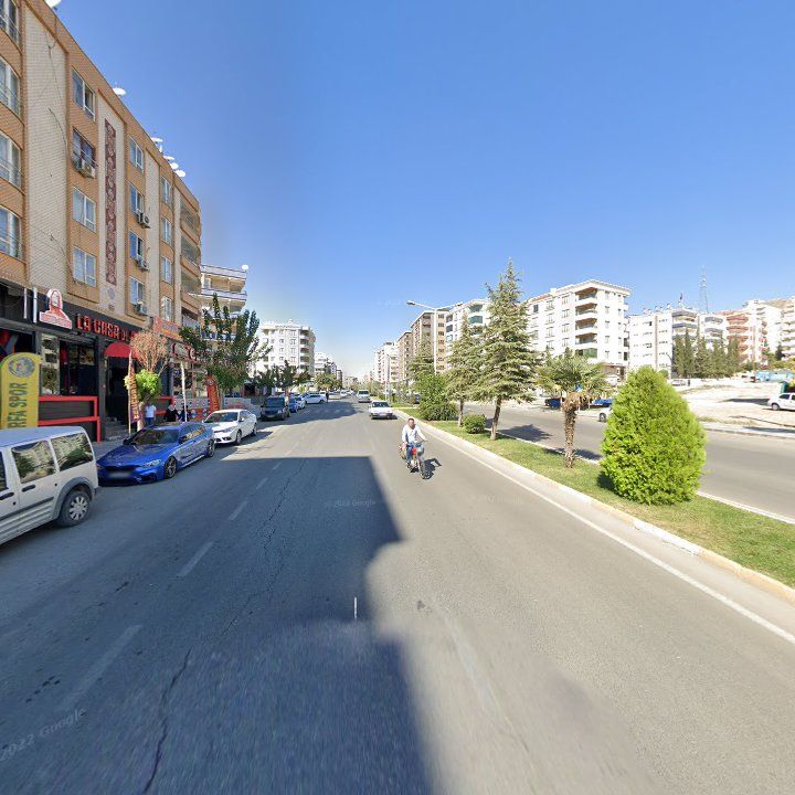 Fotoğraf 9