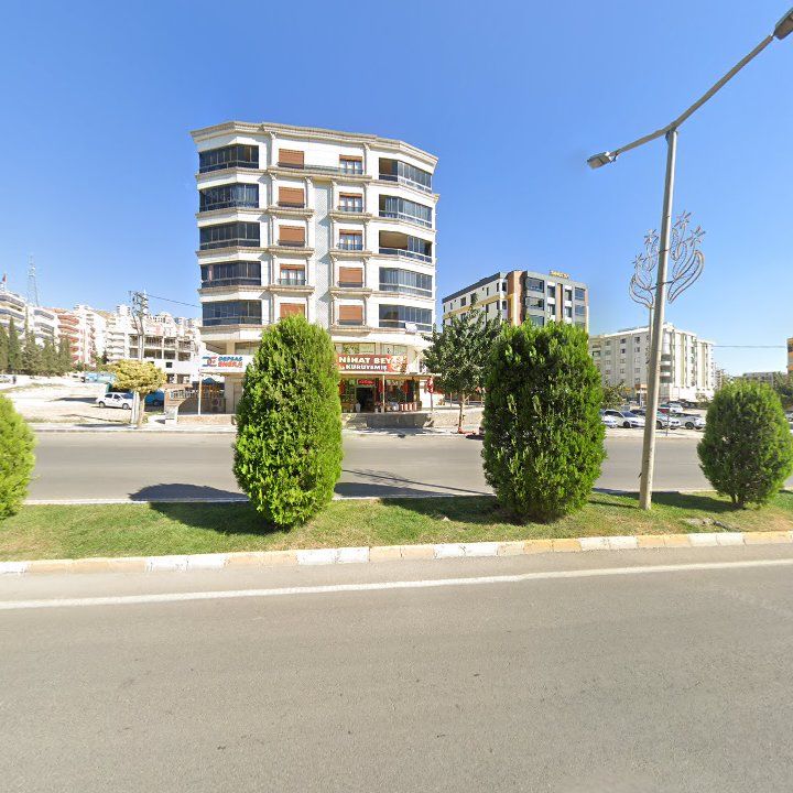 Fotoğraf 10