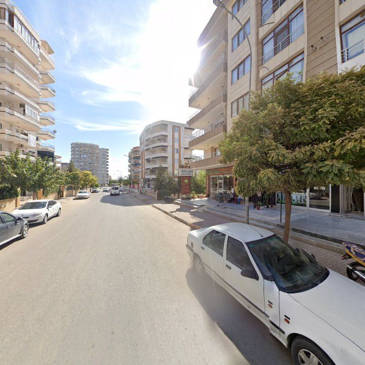 Fotoğraf 10