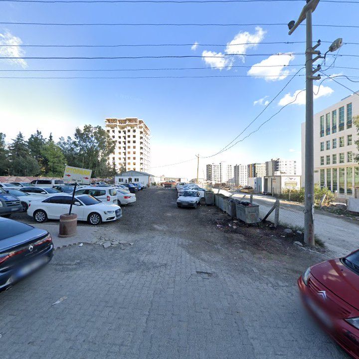 Fotoğraf 9