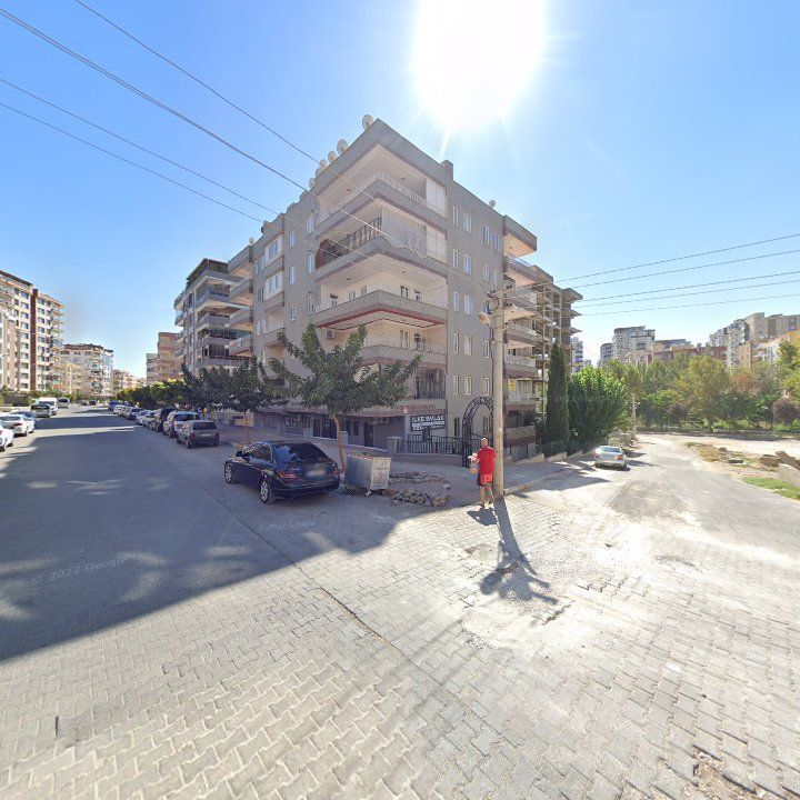 Fotoğraf 11