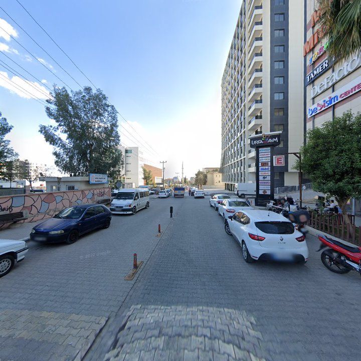 Fotoğraf 6